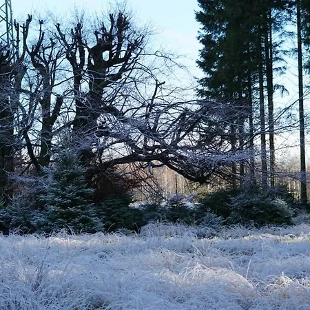 Castle Froidcour Apartman *