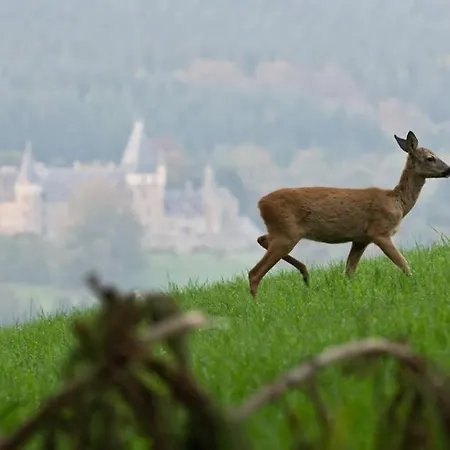 Castle Froidcour Apartman *