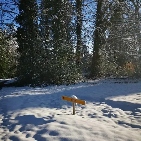 Daire Castle Froidcour Stoumont