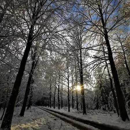 Apartman Castle Froidcour *