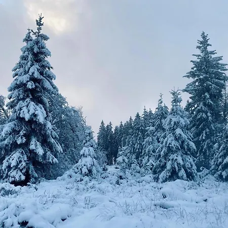 Daire Castle Froidcour